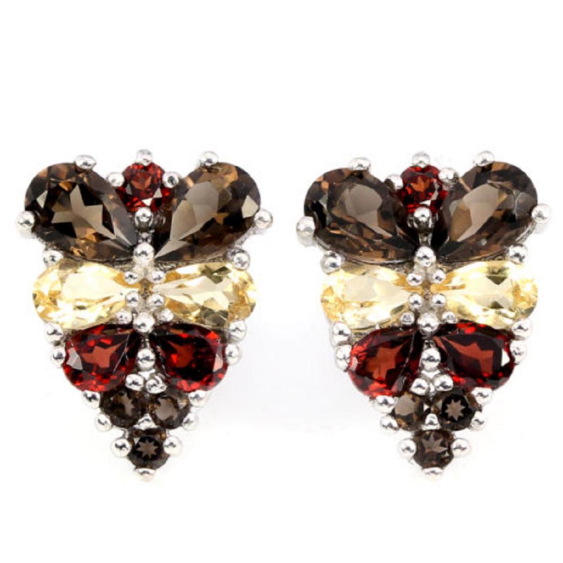 Natural Multi Gemstone EarRing (1 of 1)