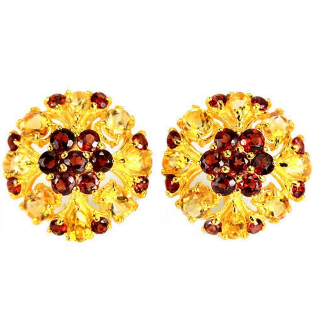 NATURAL MULTI COLOR CITRINE & GARNET Earrings (1 of 1)