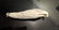 Hand Carved Antler 3D Eagle Pendant