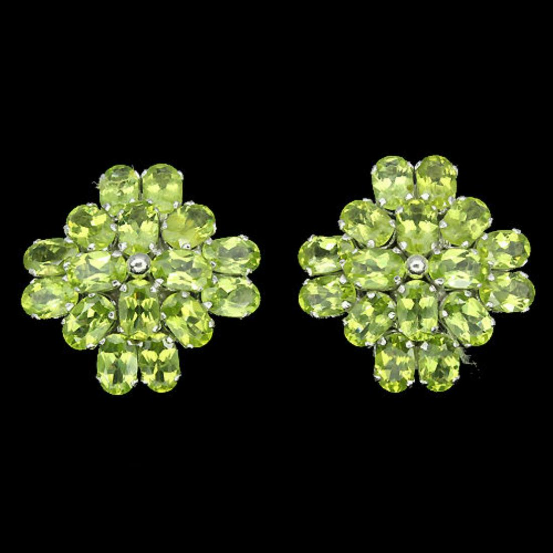 Natural Peridot 46 carats Earrings (1 of 1)
