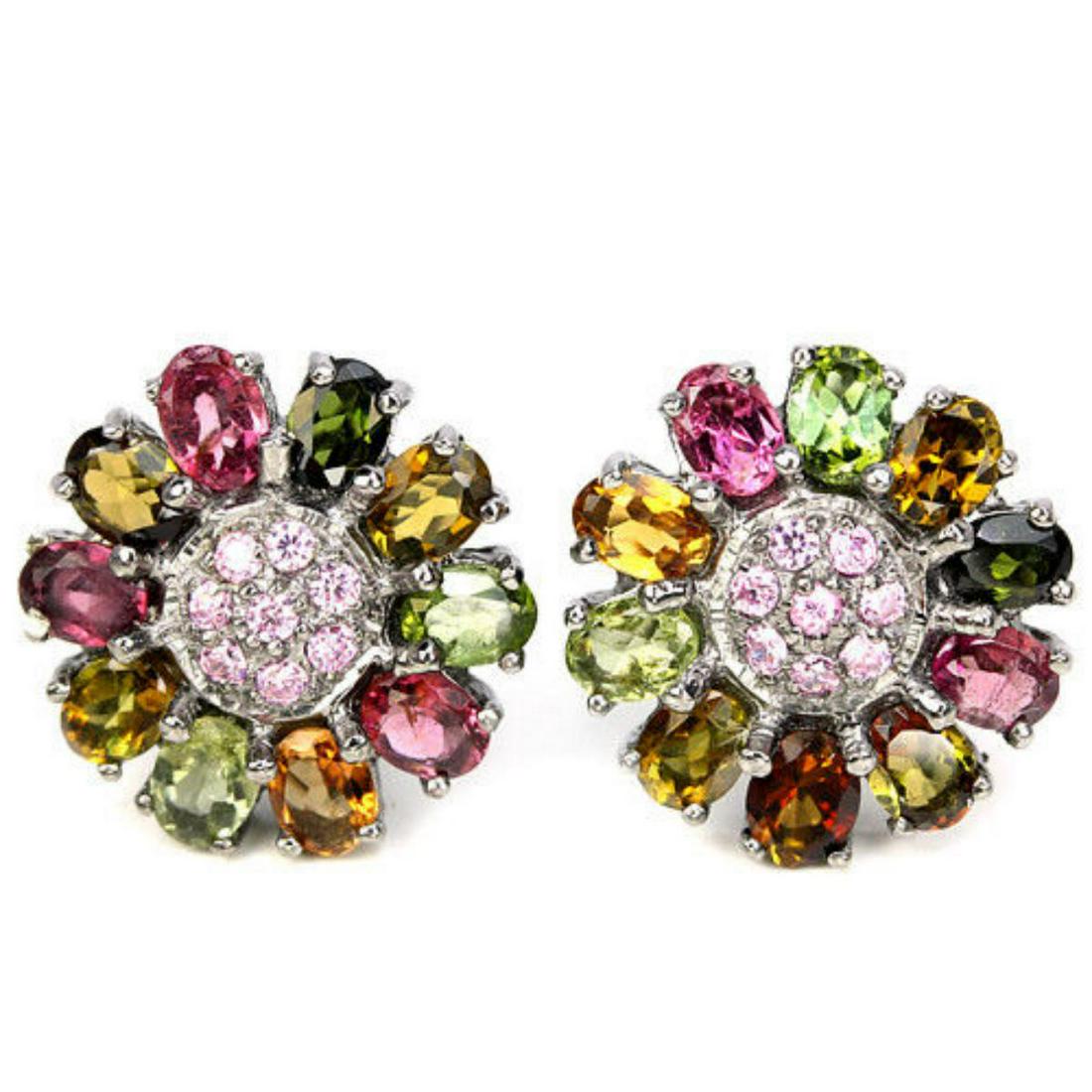 NATURAL MULTI COLOR TOURMALINE EARRING (1 of 1)