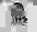 item-82602890=3