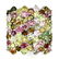Natural Top Fancy Color Tourmaline Ring - 2