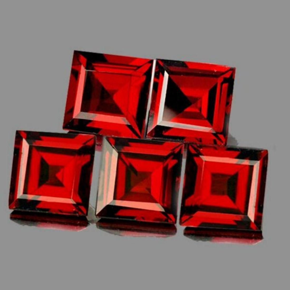 Natural Orange Red Garnet 5 Pcs [IF-VVS] (1 of 1)