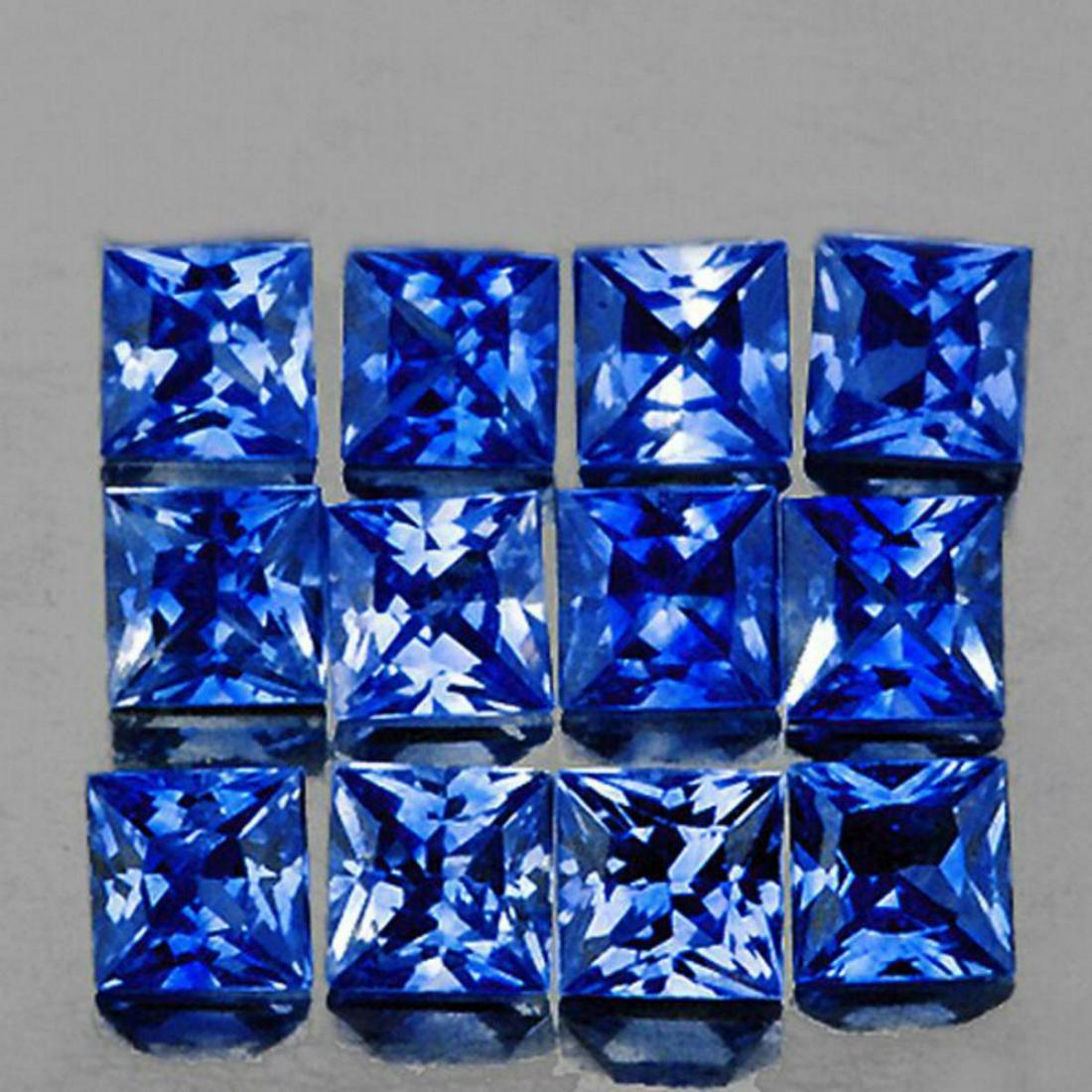 Natural Princess Blue Sapphire 12 Pcs[VVS] (1 of 1)