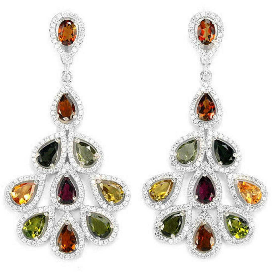 NATURAL MULTI COLOR TOURMALINE EARRING (1 of 1)