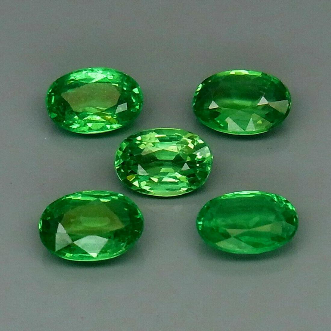 Natural Green Tsavorite Garnet Tanzania 5Pcs/2.76Ct (1 of 1)