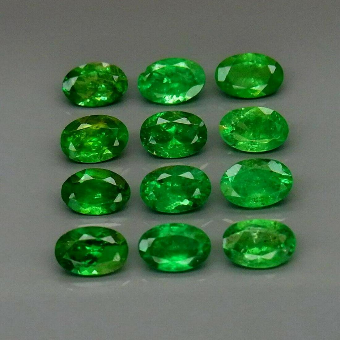 Natural Top Green Tsavorite Garnet Tanzania - Untreated (1 of 1)