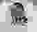 item-101055507=3
