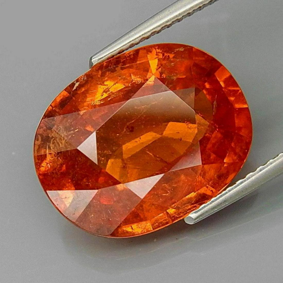 Mandarin Orange Namibian Spessartite Garnet 11.87 CT (1 of 1)