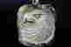 item-117467433=1