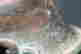 item-132434118=11
