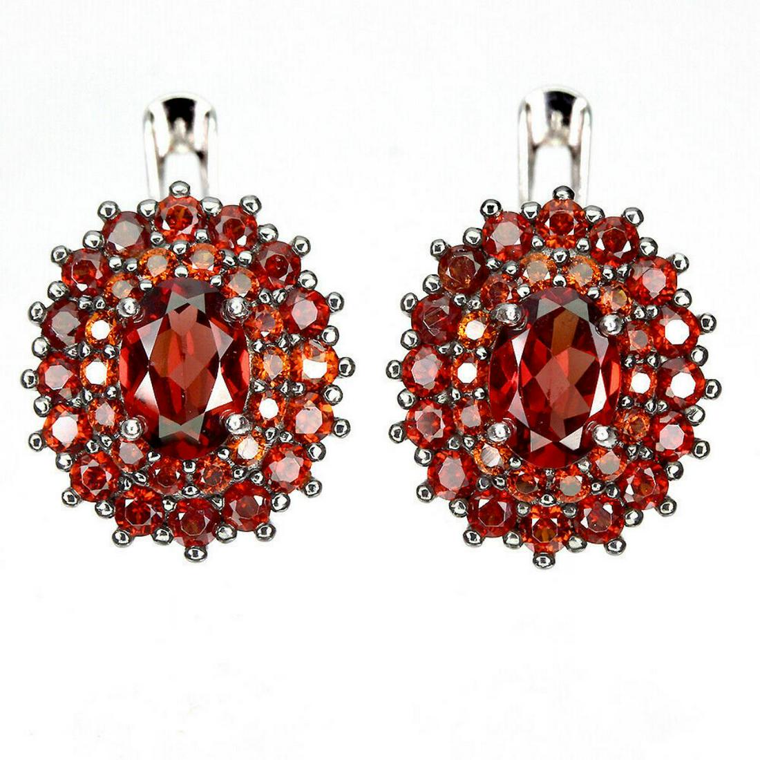 Natural Mozambique Garnet Earrings (1 of 1)