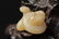 CHINESE SONG DYNASTY WHITE JADE CARVED SNAKE - 8