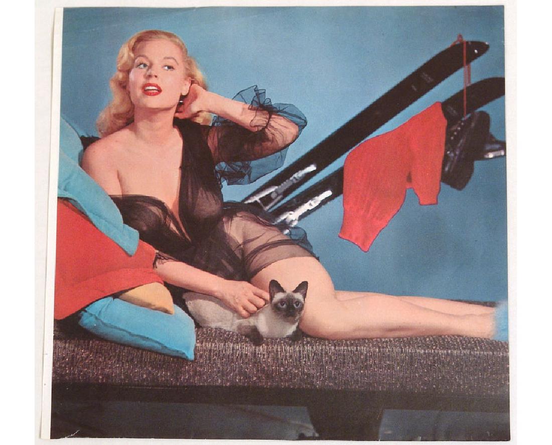 Vintage 1950s Pin-Up of Betty Brosmer: This is a vintage 1950s pin-up of Betty Brosmer, the highest-paid model of the 1950s, removed from a vintage 1950s men's magazine. Brosmer later married fitness icon Joe Weider. 8" x 7 3/4".