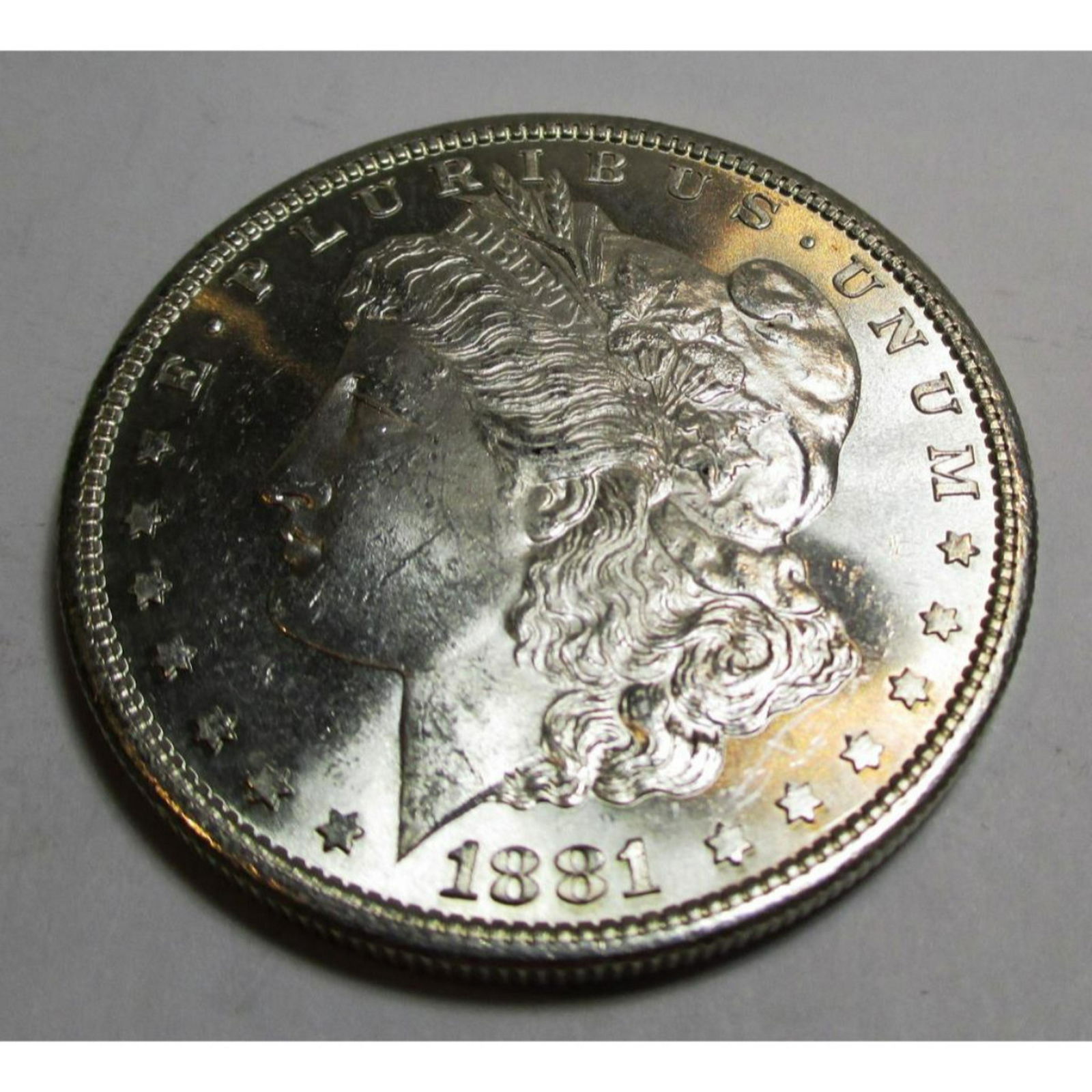 1881 s CH BU Prooflike Morgan Dollar (1 of 2)
