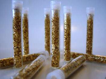 Lot of 10 Gold Leaf Vials- Real Gold- Non Bullion (1 of 1)