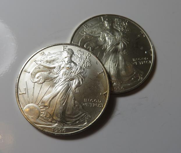 (2) Key Date 1996 US Silver Eagles (1 of 2)