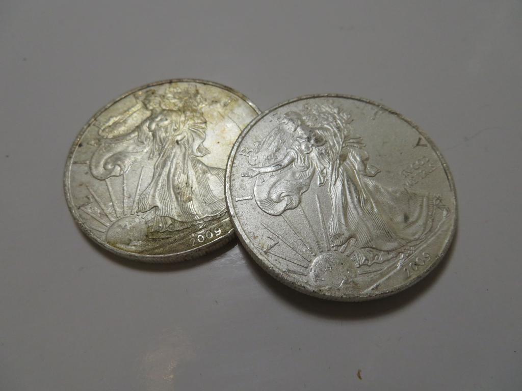 (2) Scruffy Backdate Silver Eagles (1 of 2)
