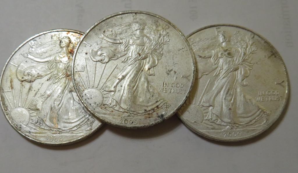 Lot of (3) Scruffy US Silver Eagles (1 of 2)
