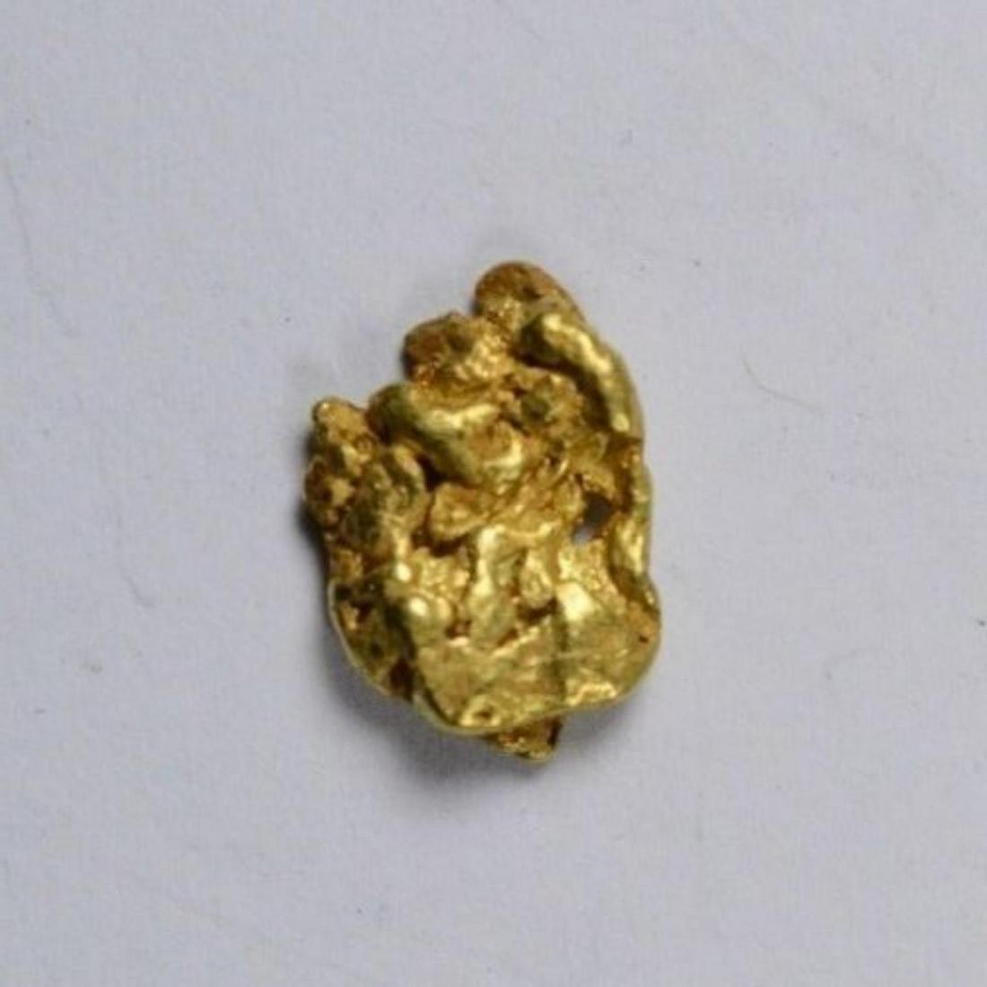 4.94 Gram Natural Gold Nugget (1 of 1)