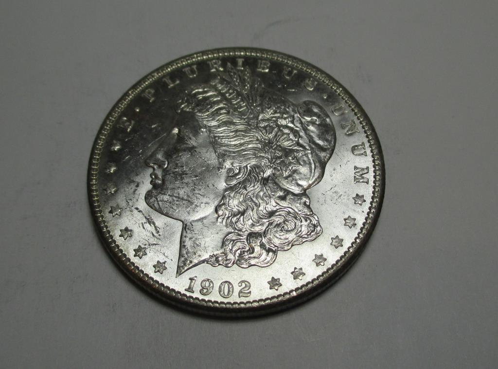 1902 O CH BU PL Surfaces Morgan Dollar (1 of 2)