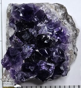 111 gram Natural Amethyst Geode Cluster