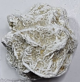 16.13 gram Natural Desert Rose Specimen