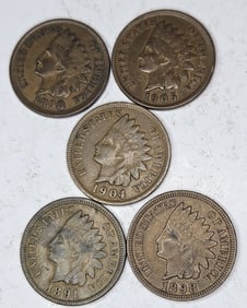 1898-1905-1904-1891-1898 Indian Head Cents