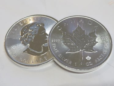 1 oz Silver Maple Leaf Bullion Random Date
