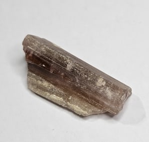 19.2 ct. Natural Rough Gem Grade Tourmaline