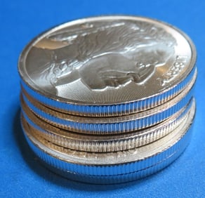 (5) 1 oz Silver Buffalo Design Rounds
