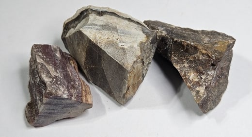 52.63 gram Natural Petrified Wood Lot