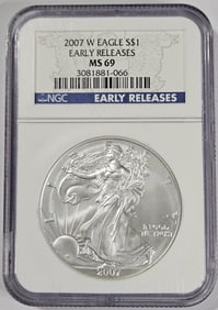 2007 W ER- MS 69 NGC US Silver Eagle