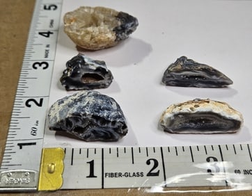 (5) Oco Brazilian Geode Lot
