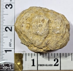 98.95 gram Natural Crystal Geode U open !