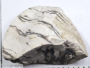 45.73 gram Natural Zebra Jasper Specimen
