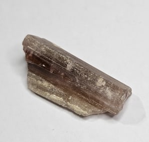 19.2 ct. Natural Rough Gem Grade Tourmaline