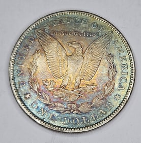 1889 AU Grade Rainbow Toned Morgan Dollar