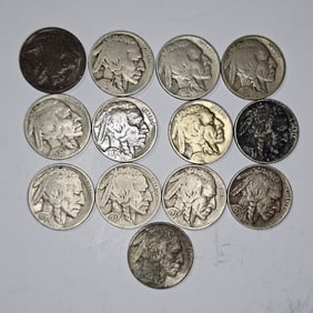 Lot of (13) Buffalo Nickels - Assorted Dates