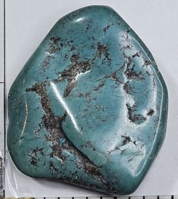 20.42 gram Natural Flat Turquoise Nugget