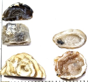 (5) Oco Brazilian Geode Lot