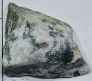 28.20 gram Natural Tree Agate Specimen