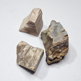 59.61 gram Natural Petrified Wood Lot