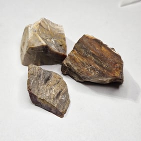 64.58 gram Natural Petrified Wood Lot