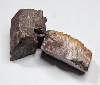 49.49 gram Natural Petrified Wood Lot