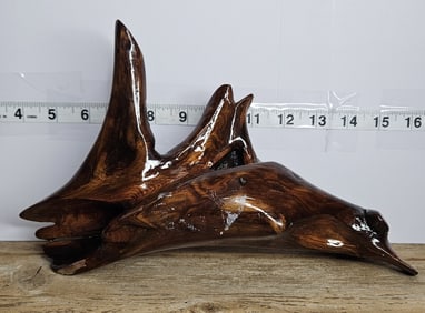 Freeform Driftwood Display