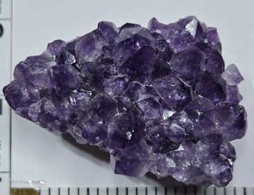 WOW! - 135.22 gram Natural Amethyst Geode Cluster
