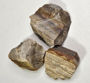 48.90 gram Natural petrified Wood Lot