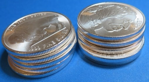 Lot of (10) 1 oz.  Buffalo Design Silver Rounds